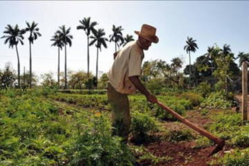 República Dominicana celebra este viernes el Día del Agricultor