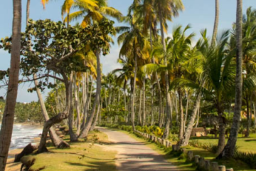 Estudio identifica oportunidades para exportar aceite de oliva español a República Dominicana