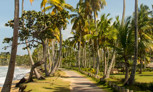 Estudio identifica oportunidades para exportar aceite de oliva español a República Dominicana